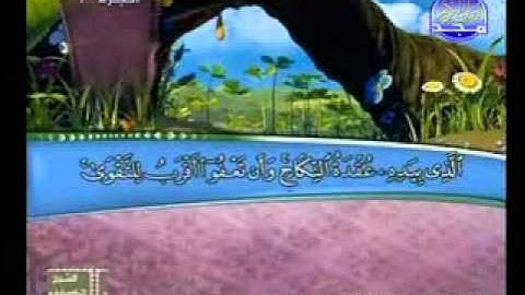 سورة البقرة 233 252 الشيخ محمد عبدالحكيم