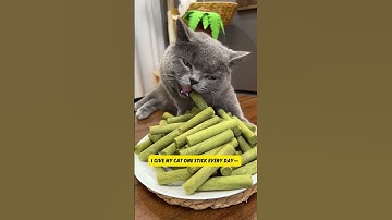 Cat Grass Teething Stick: A Natural Dental Solution for Your Kitty!