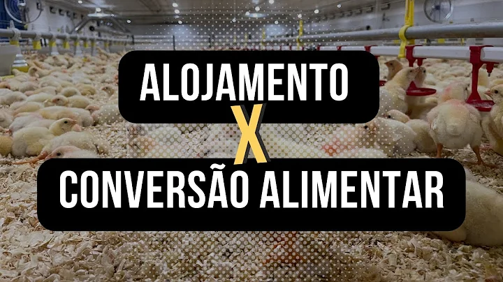 Aula #002 - Como melhorar a converso alimentar com...