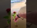 اسم تالا على الرمل شاهد الجمال