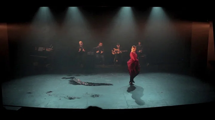 Caa - Flamenco / Daniela Ojeda Amzola.