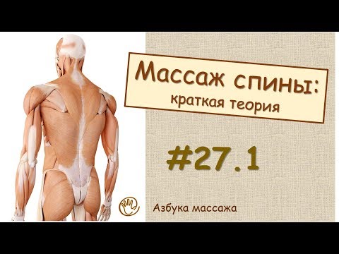 Массаж спины (краткая теория) | Урок 27, часть 1 | Уроки массажа