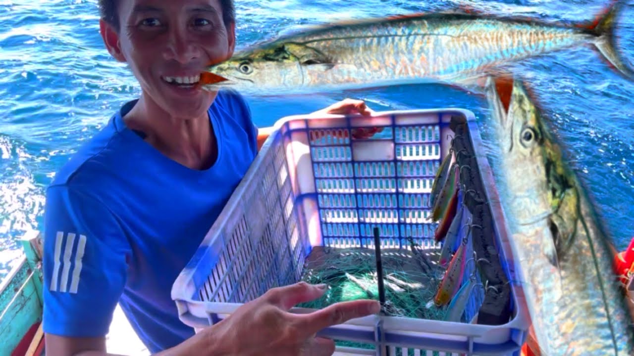 Câu cá thu | vào mùa kéo toàn cá thu | hoàng Phú quốc