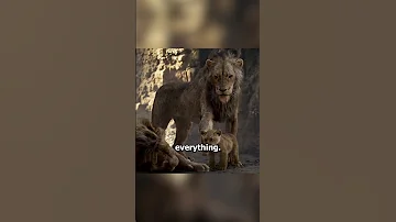 When Simba Lost Everything 