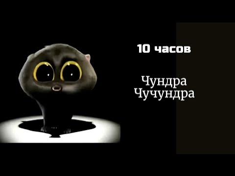 Чундра чучундра мем с котом чундра Чучундра 10 ЧАСОВ - YouTube