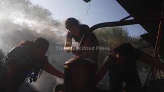 Mezcals Popularity Is Booming. That Comes With A Growing Environmental Cost In Mexico