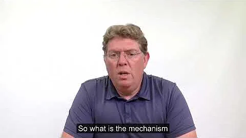 Video CSM1 1 4   Results chain   720p