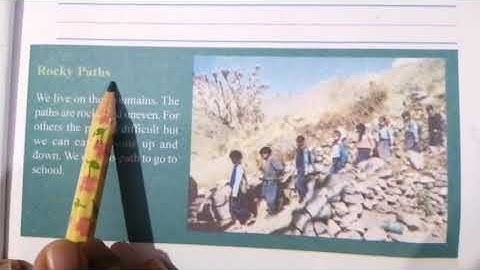 Standard IV /Environment /Looking Around /NCERT