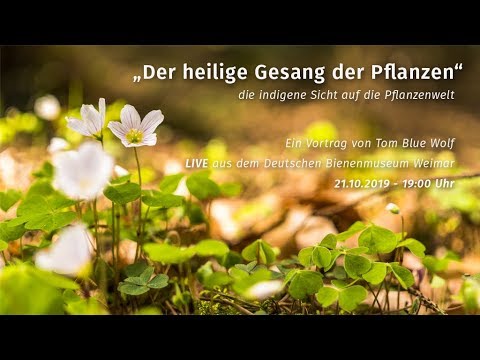 Der heilige Gesang der Pflanzen