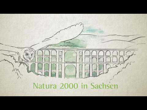 Trailer - Natura 2000 in Sachsen