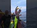 Fisherman risks it all to rescue dolphin in viral video