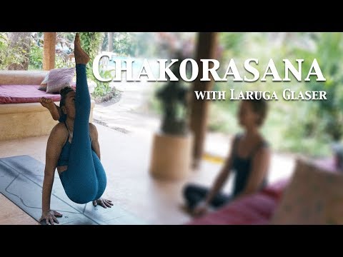Chakorasana | Third Series - Ashtanga Yoga | Laruga Glaser