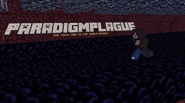 9b9t History 5YA Special #1 - ParadigmPlague, the first man to the world border