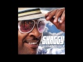 Shaggy - Dame [NEW SONG 2011]