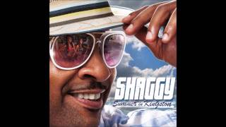 Video thumbnail of "Shaggy - Dame [NEW SONG 2011]"
