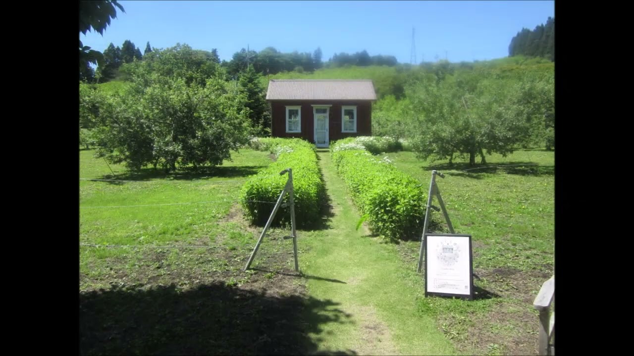 中之条ガーデンA202406