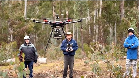 From Surface to Satellites - remote sensing from drones advances understanding of plant biodiversity