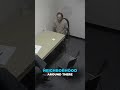 James Hamilton Cracking Under Pressure #shorts #thecuffedreport #jameshamilton #truecrimeshorts