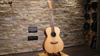 Freshman Guitars FA Ltd Spruce OM 20th Anniversary Edition Review