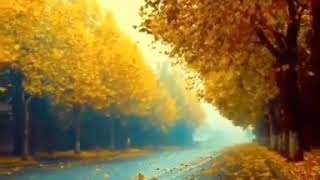 Payiz Geldi , Uçdu Getdi Quşlar Piano Cover