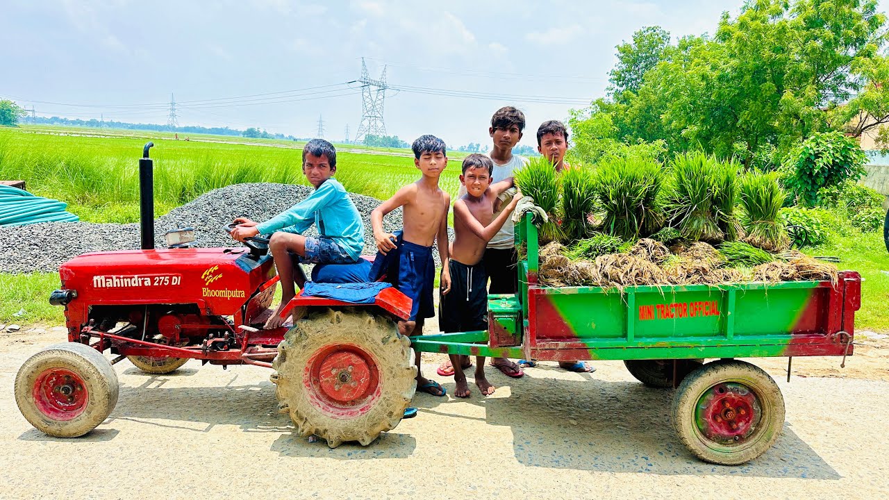 In the Mini Mahindra Tractor We Took a Trolley Paddy Seed on the Ground | Mini Tractor 
