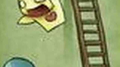 Pon and Zi Slideshow
