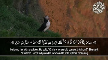 تلاوة من سورة آل عمران | القارئ عبدالله الخلف | تلاوات خاشعة HD
