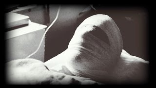 The Devil's Moratorium (From "Michael Myers: Absolute Evil")