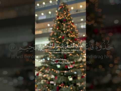 لا تخلي شجرة الكريسماس تنسيك شجرة الزقوم اكسبلورر  