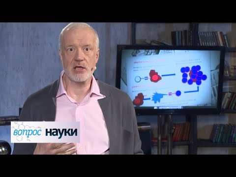 Иммунотерапия рака | Вопрос науки с Алексеем Семихатовым