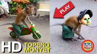 lala liat Topeng Monyet - Mongkey Show part 1