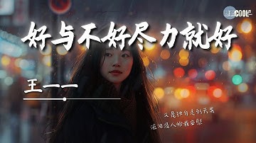 王一一 -好与不好尽力就好「遗憾啊没有什么大不了」【🎧AI高质音乐 / 拼音歌词 Lyrics】