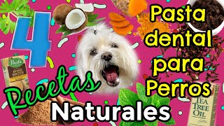 4 Recetas de Pastas Dentales NATURALES para PERROS, Coton de Tulear I Lorentix