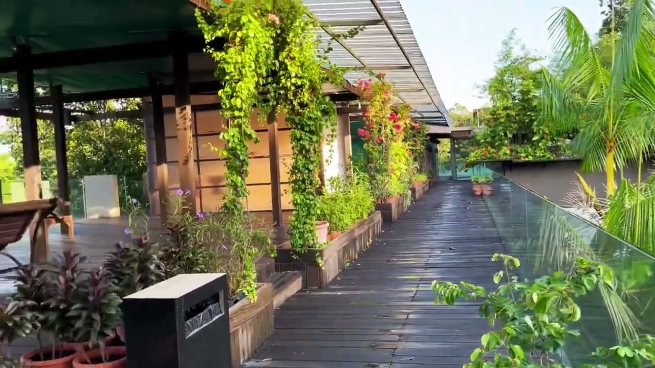 Roof Deck Tour Siloso Beach Resort Sentosa Youtube