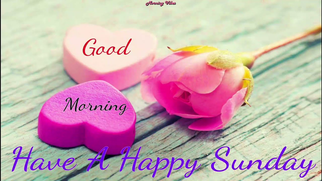 Good Morning, Happy Sunday Wishes & Quotes, Enjoy Your Day 💐🌹🌺