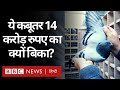 Pigeon : वो कबूतर जिसे 14 करोड़ रुपये से भी ज़्यादा क़ीमत में खरीदा गया (BBC Hindi)