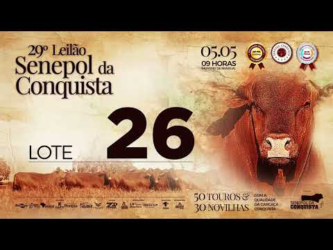 LOTE 26 CONQ 2974 - FÊMEA