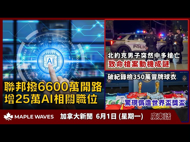 加拿大新闻频道