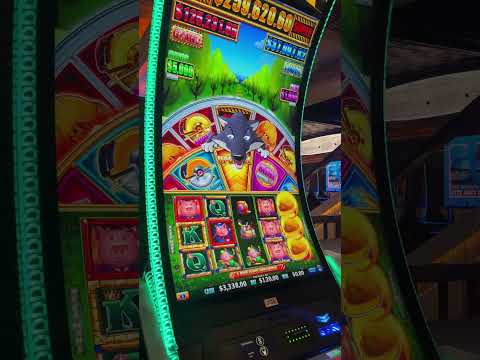 Gioca al Casinò Online AllySpin: La Migliore Esperienza di Gioco in Italia