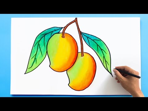 Easy Mango Drawing