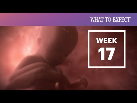 Video: Hoe Lyk 'n Fetus Op 17 Weke