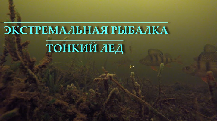 ЛЕД ТРЕЩИТ ПОД НОГАМИ. ОПАСНЫЙ ЛЕД. РЫБАЛКА ПО ПЕРВОМУ ЛЬДУ.
