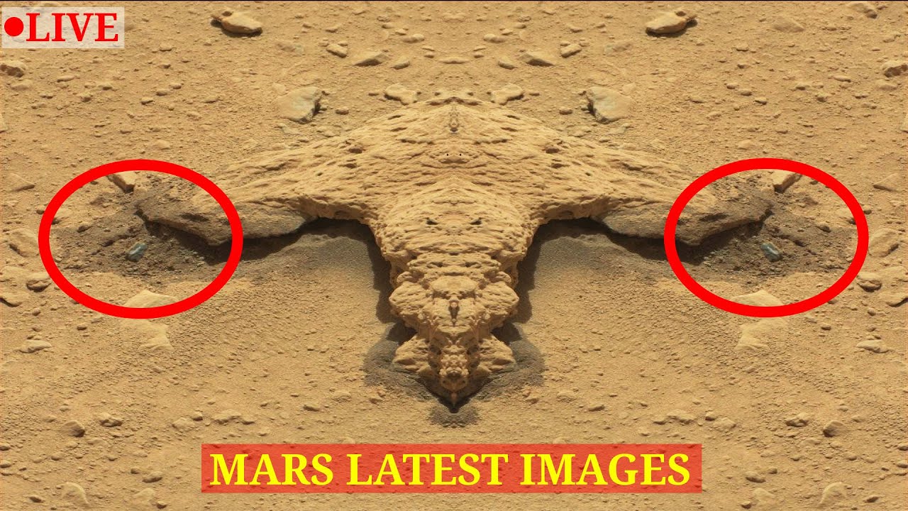 Mars Curiosity Rover Released Latest Images LIVE 2022- MARTE