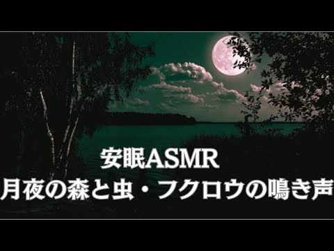 月夜の自然音ASMR 🦉 水面を照らす満月と、森の奥からの虫の音・フクロウ | Owl Hooting & Cricket Sounds for Deep Relaxation