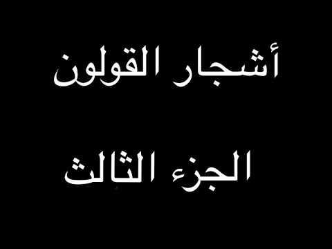 أشجار القولون ج3