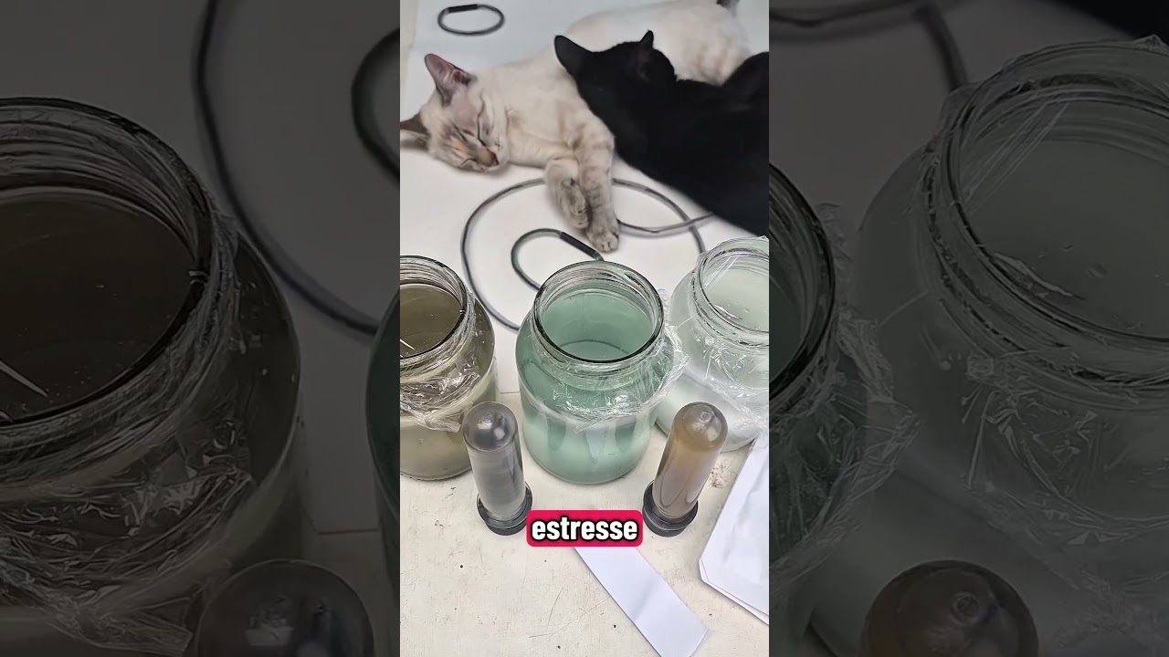 Gans de Plasma ZNO e CO2