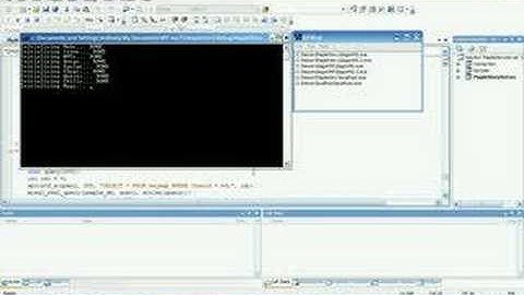 Maple story private server sk8ordiems i need help