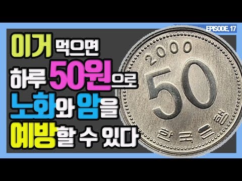 탈모에좋은음식