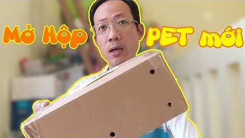 Đón Thêm Em Rùa Cá Sấu - Alligator Snapping Turtle / Vũ Lê Channel