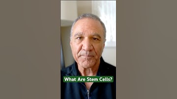 What Are Stem Cells?